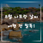 8월 나트랑 날씨 완벽 정리, 여행 전 필독!