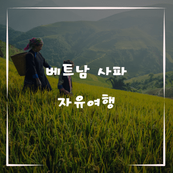 베트남 사파에서의 자유여행, 꼭 가봐야 할 이유